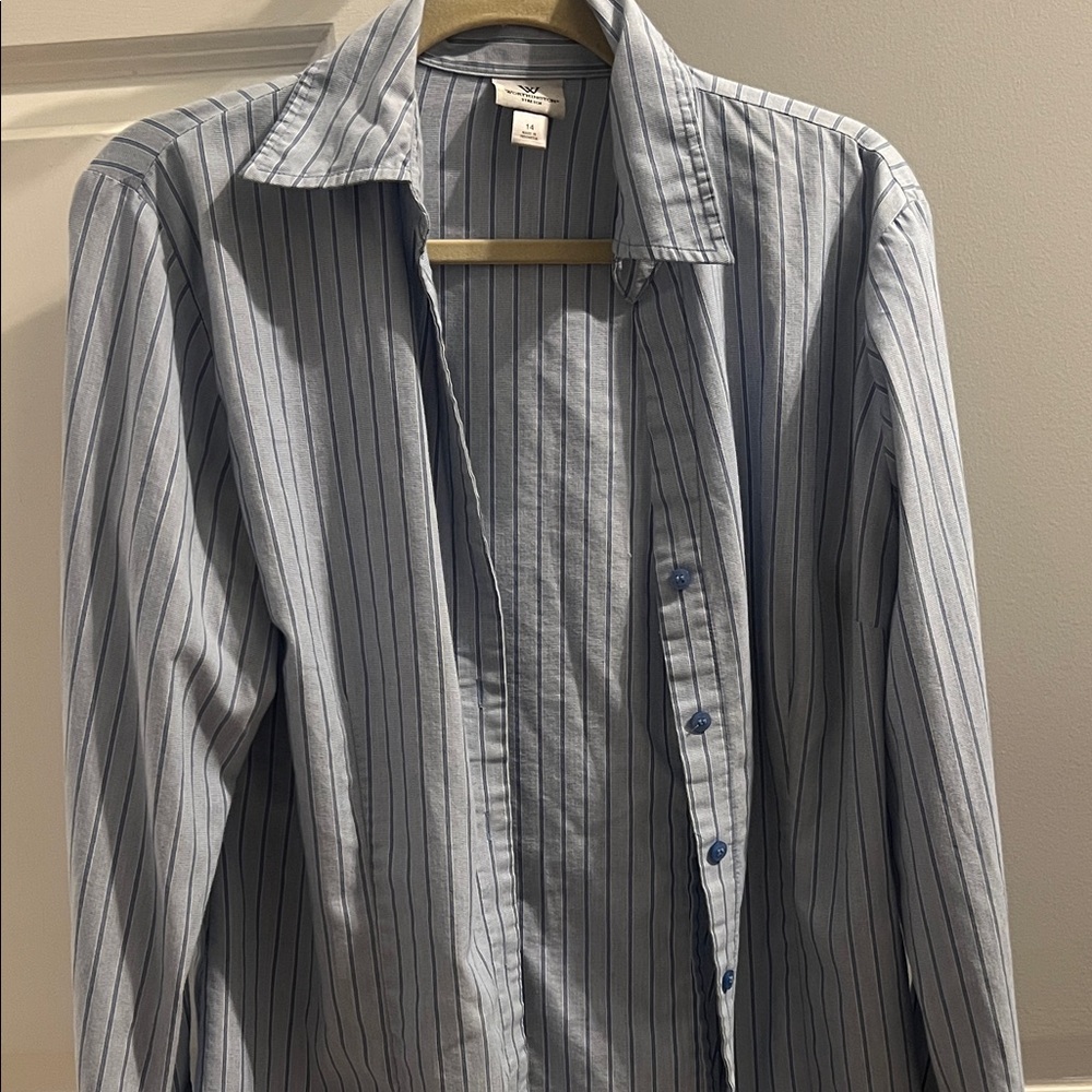 Worthington Blue and White Striped Shirt